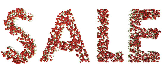 sale text made of plants, 3D rendering with transparent background