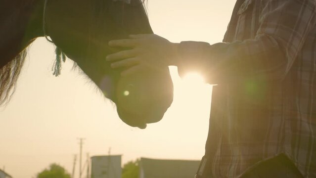 A young man strokes a horse at sunset. Young bearded farmer takes care of horses on the farm.