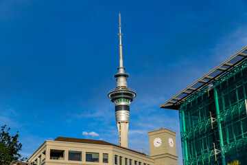 Fototapeta premium The Sky tower in Auckland