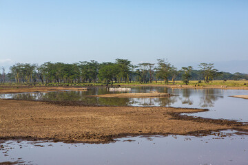 African landscape at Lake Nakuru. Beautiful nature in Kenya.