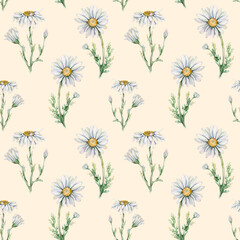 Seamless pattern with watercolor chamomiles.