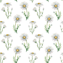 Seamless pattern with watercolor chamomiles.