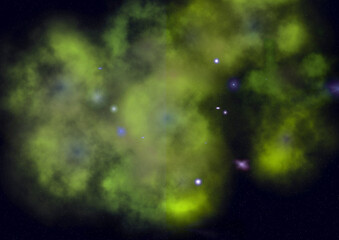 Star field in space and a nebulae