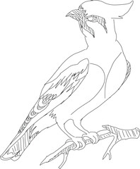 hand drawn illustration of a bird