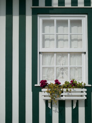 Fototapeta na wymiar white window detail with white and green striped facade. curtains on the window and pretty pink flowers hanging in front. in Costa Nova do Prado, Aveiro, Portugal.