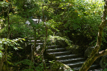 山の中の古い階段のイメージ,