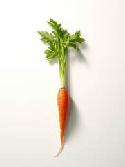 Isolated top view of natural carrot, close-up on pure white background; clean, simple, and high-quality image with clear light, shadow, and spotlight.