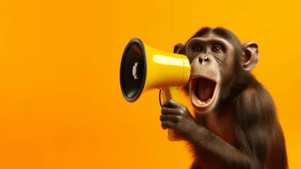 Fototapeten Monkey with a megaphone on a yellow background. © spyrakot