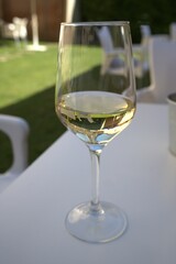 glass of white wine on the table