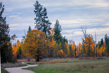 The mission creek greenway in the autumn with beautiful colors. 