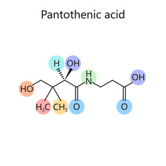 Chemical organic formula of Pantothenic acid vitamin B5 diagram schematic vector illustration. Medical science educational illustration