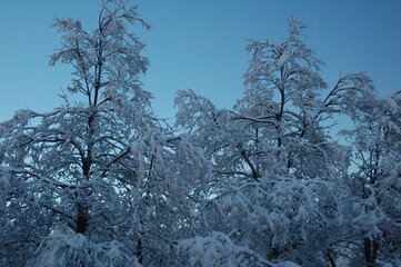 Chillán