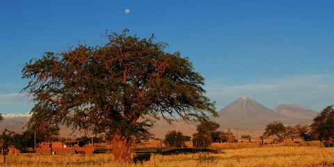 San Pedro de Atacama