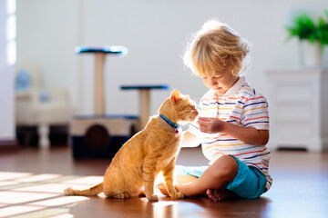 Child playing with cat at home. Kids and pets. - obrazy, fototapety, plakaty