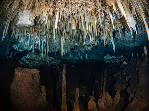 Above and below the halocine in a cave 
