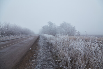 Winter morning with frosted trees, foggy atmosphere, and a disappearing asphalt road.