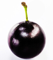 Fototapeta premium The jabuticaba or jabuticaba is a purplish black-white fruit, typical fruit of Brazil, on isolated white background