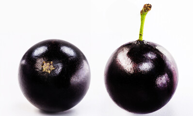 Obraz premium The jabuticaba or jabuticaba is a purplish black-white fruit, typical fruit of Brazil, on isolated white background