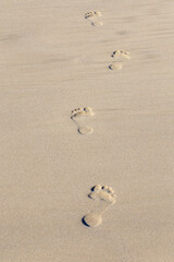 Human footprint on sand summer tropical beach background