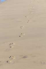 Human footprint on sand summer tropical beach background
