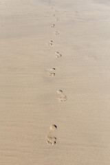Human footprint on sand summer tropical beach background