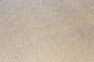 background of clean wet sandy beach in detail