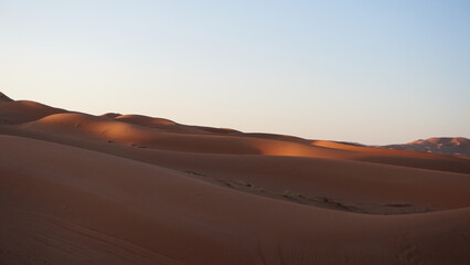 Desert en été
