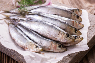 Fresh raw European sardines offered as close-up on stone design tray