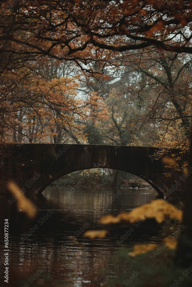 Poster a bridge over a river surrounded by trees in the fall