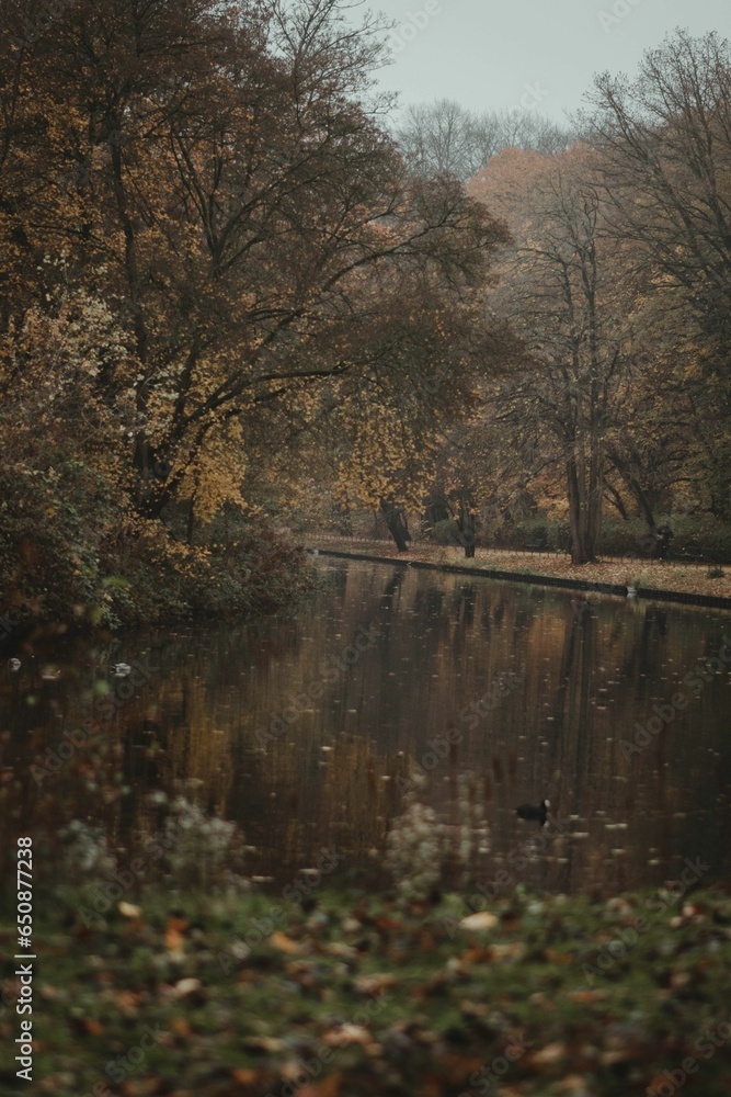 Poster trees next to a lake in the middle of autumn next to an area with a
