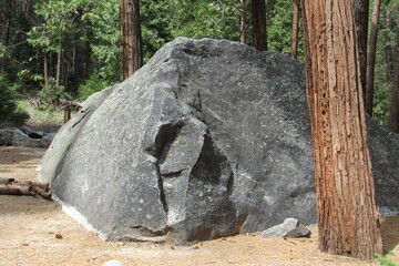 Closeup shot of a big stone in Yosemite National Park, USA