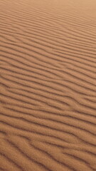dune du sahara