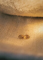 Linen cloth on the ground with cannabis seeds in sunlight