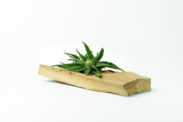 Cannabis leaf ion a wooden bar solated against a white background