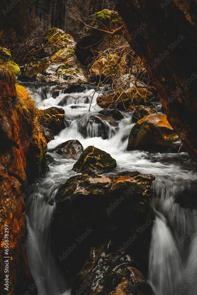 Poster a stream that is running down some rocks in the forest