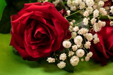 Closeup of a bouquet of beautiful red roses with a green wrapping paper