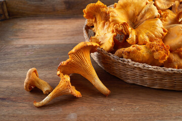 Forest Mushrooms chanterelles on a wooden old background.