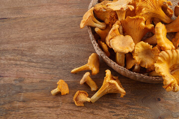 Forest Mushrooms chanterelles on a wooden old background.