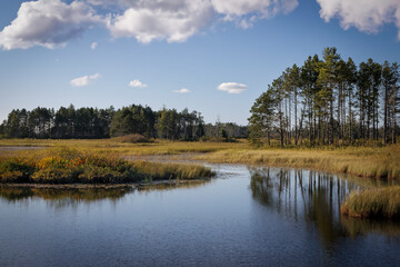 Fototapeta na wymiar Seney Wetlands (2023)
