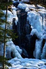 Majestic frozen waterfall surrounded by lush evergreen trees blanketed in a thick layer of icy frost