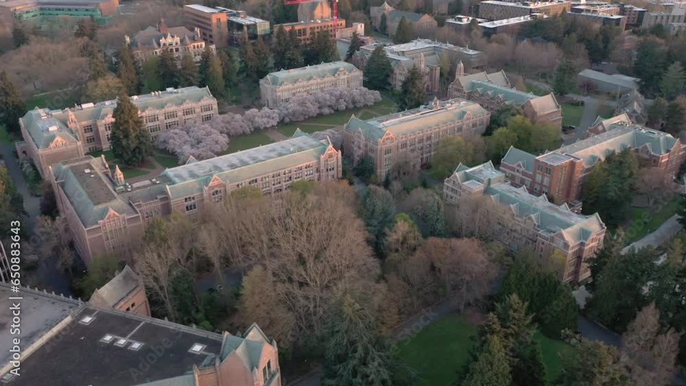 Wall mural Aerial video of old buildings of University of Washington, Seattle, USA