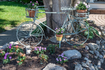 Vintage Wrought Iron Bicycle Leaning Against a Tree and Holding Plant Pots, Mackinac Island, Michigan, Lake Michigan - 650884067