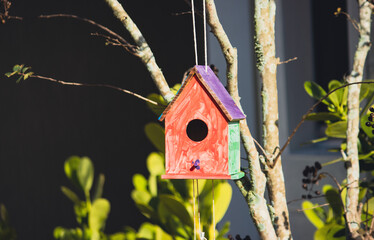 Colorful birdhouse hanging on a tree