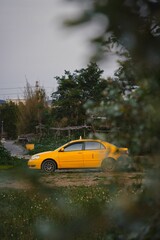 Yellow taxi vehicle parked in a rural area seen through plants