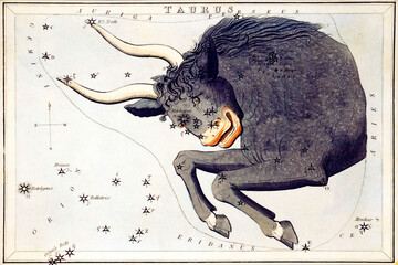 Taurus Star Sign Zodiac Chart - 650887857
