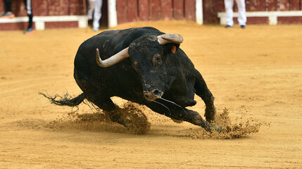 un toro español con grandes cuernos en españa - 650889667