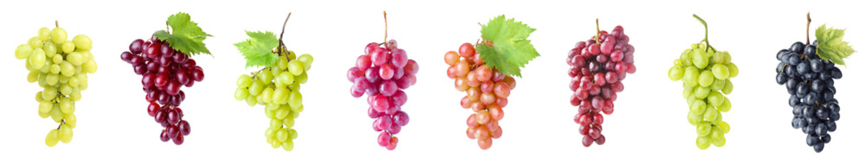 Set of different grapes on white background