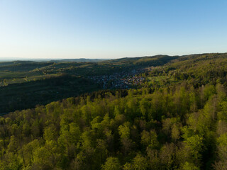 Mesmerizing view of the green landscape with dense trees and a village against a clear sky
