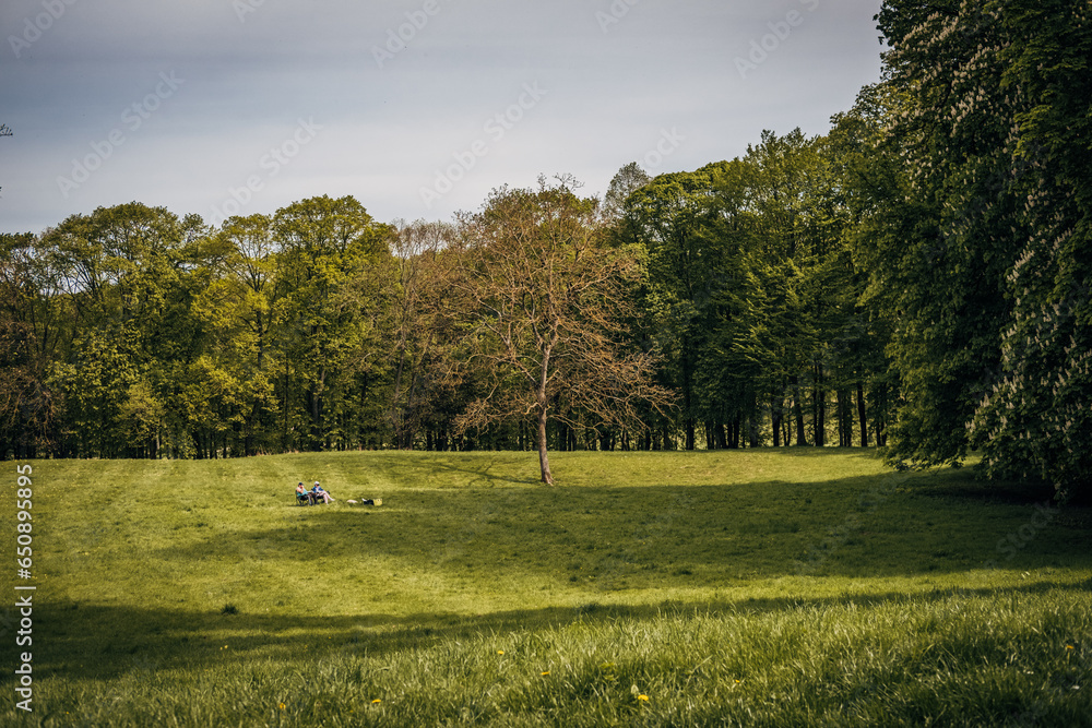 Poster Scenic view of Domaine national de Marly park in Marly-le-Roi, France in spring