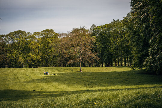 Scenic view of Domaine national de Marly park in Marly-le-Roi, France in spring